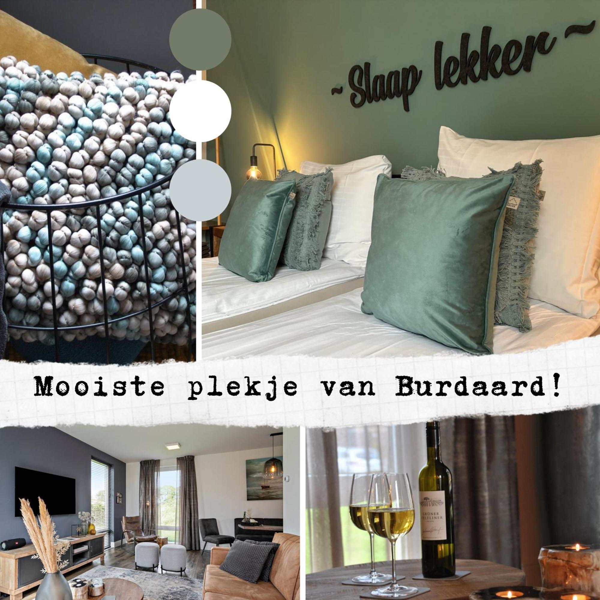 Prachtige Vakantievilla Burdaard Birdaard エクステリア 写真